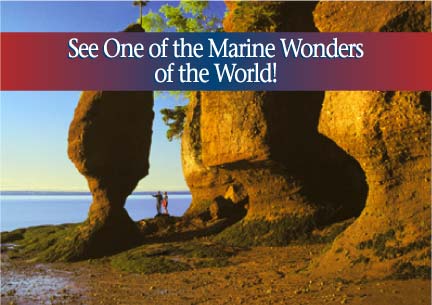 See One of the Marine Wonders of the World!