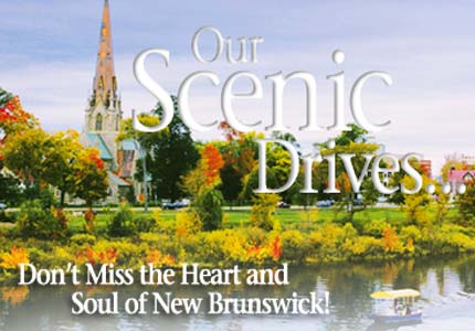 Our Scenic Drives...Our Scenic Drives...Our Scenic Drives...Our Scenic Drives...